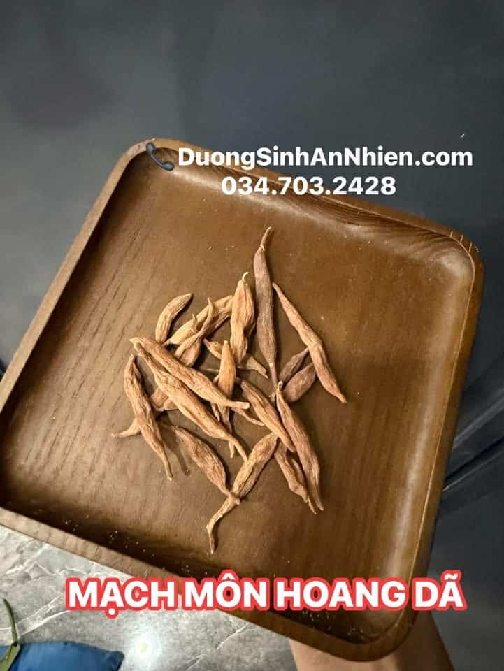 MẠCH MÔN HOANG DÃ 100GR