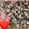 BỘT CHUỐI XANH HỮU CƠ RANG CỦI HẠ THỔ 500Gr khi pha, nấu