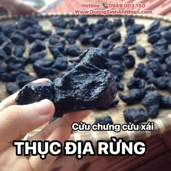 Thục địa rừng cận cảnh