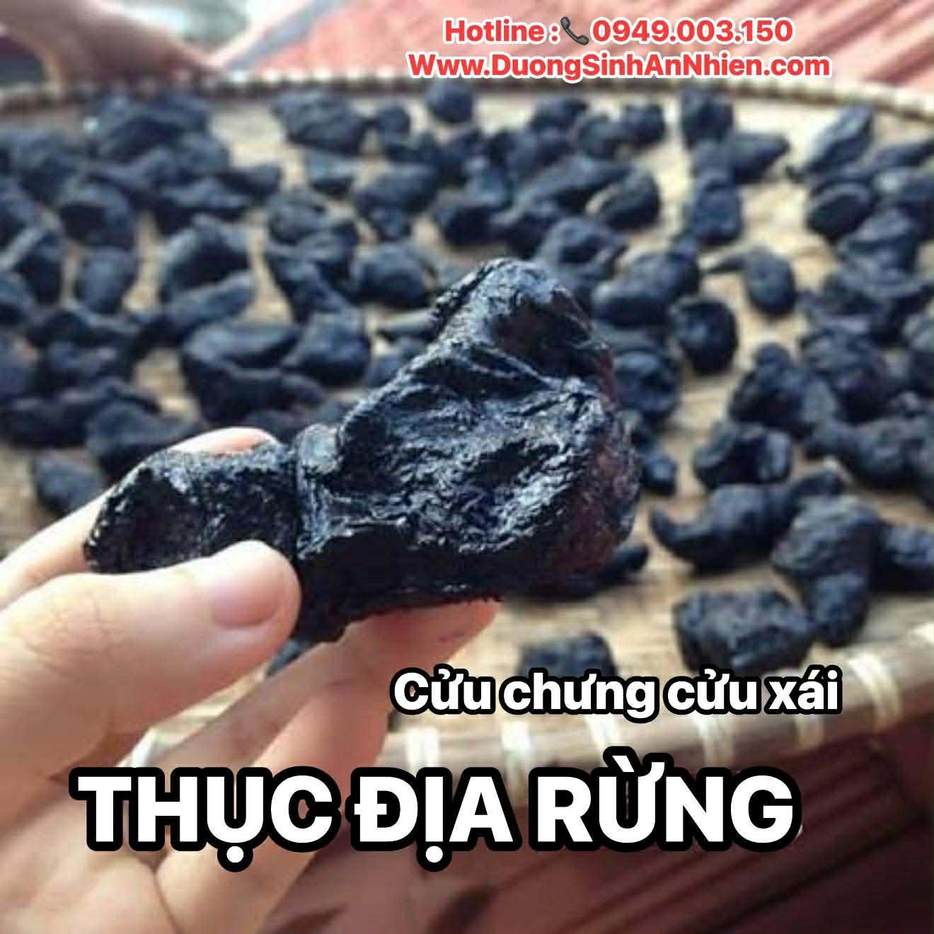 THỤC ĐỊA RỪNG CỬU CHƯNG CỬU XÁI 200gr