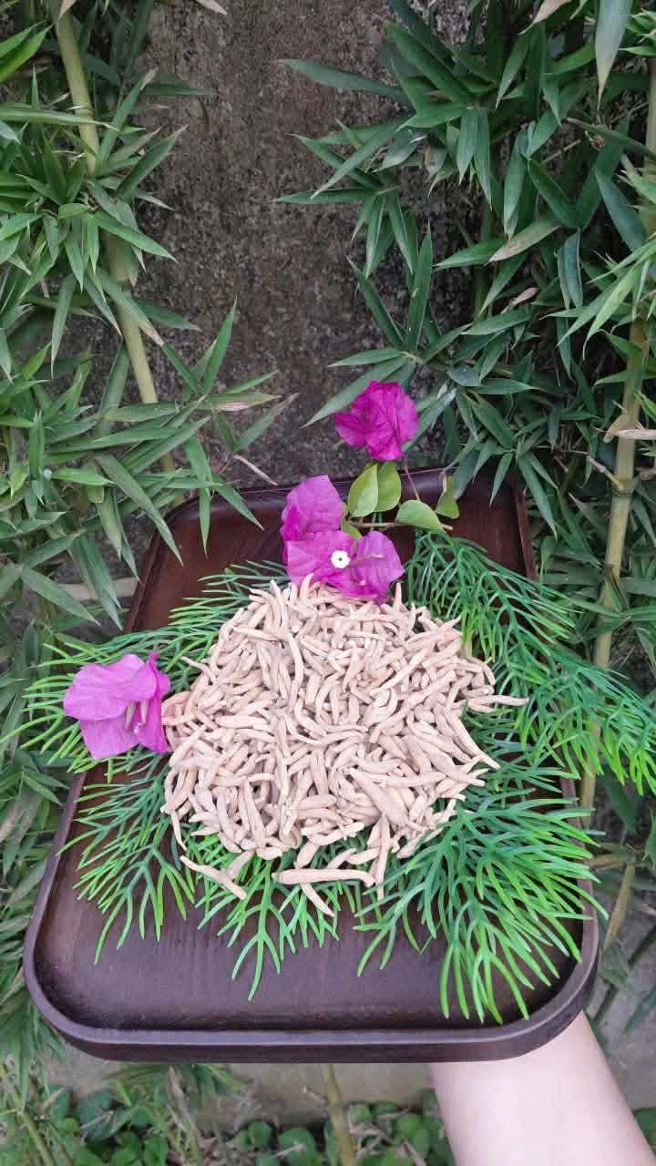 559f8113-0e09-48ee-b433-0c32d1f8f594