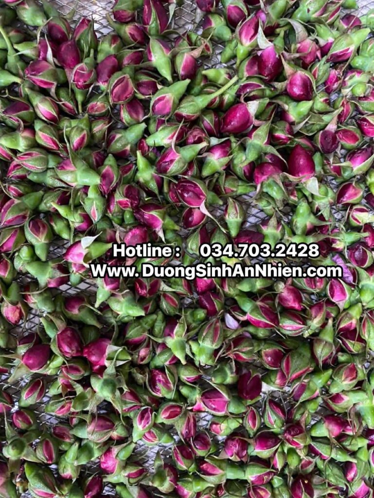 Trà hoa hồng – ảnh thực tế 3