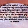 TRÀ MÂM XÔI RỪNG PHƠI NẮNG TỰ NHIÊN GÓI 500gr màu sắc tự nhiên