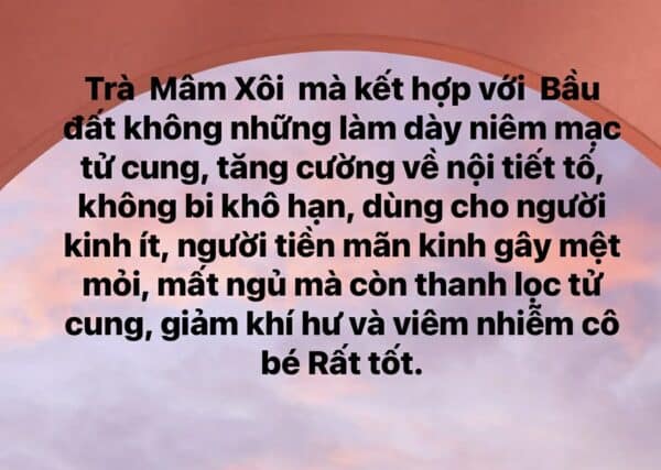 TRÀ MÂM XÔI RỪNG PHƠI NẮNG TỰ NHIÊN GÓI 500gr màu sắc tự nhiên