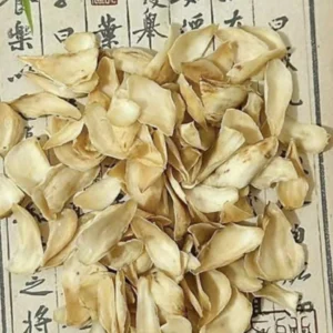 Bách hợp rừng tự nhiên