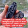 THỤC ĐỊA RỪNG CỬU CHƯNG CỬU XÁI 200gr màu sắc tự nhiên