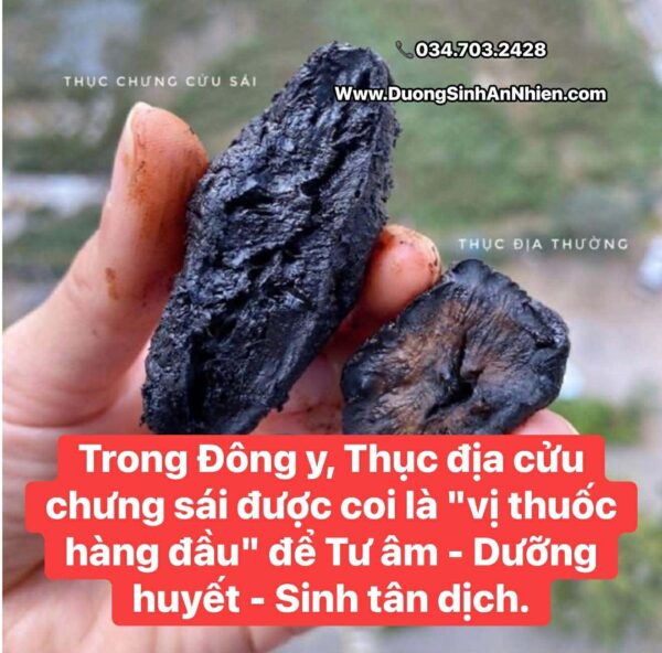THỤC ĐỊA RỪNG CỬU CHƯNG CỬU XÁI 200gr màu sắc tự nhiên