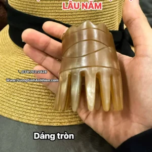 Lược dáng tròn - sừng trâu bạc đực trên 20 năm