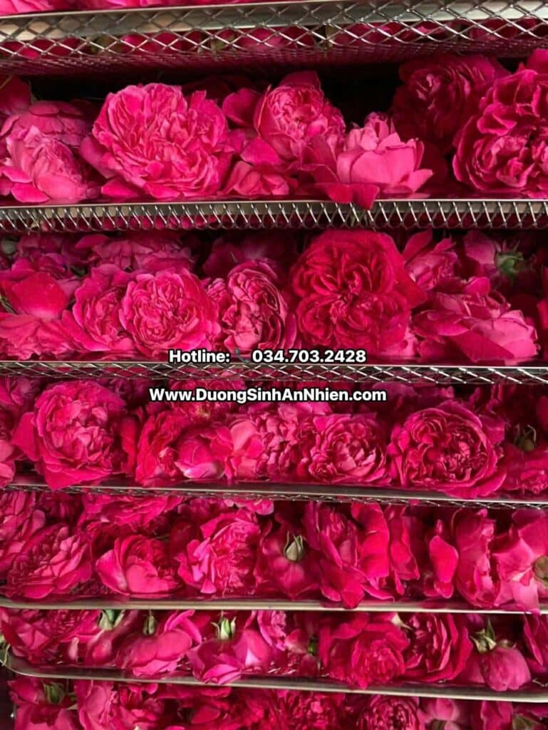 Trà hoa hồng – ảnh thực tế 1