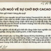 CA CAO THÔ NGUYÊN BƠ 100% RAW VIRGIN (HÀNG ORDER 7 NGÀY) khi pha, nấu