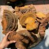 NẤM LINH CHI THƯỢNG HOÀNG HOANG DÃ LÂU NĂM 200Gram màu sắc tự nhiên