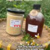 MẬT ONG NUÔI THẢ RỪNG TỰ NHIÊN 1000ml