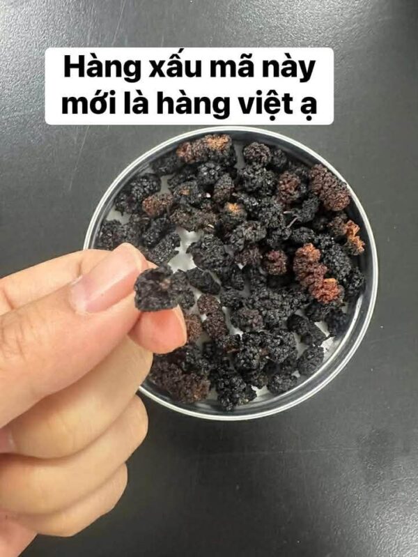 Trà dâu tằm hữu cơ cận cảnh
