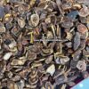 Hồng sâm thượng hạng cận cảnh