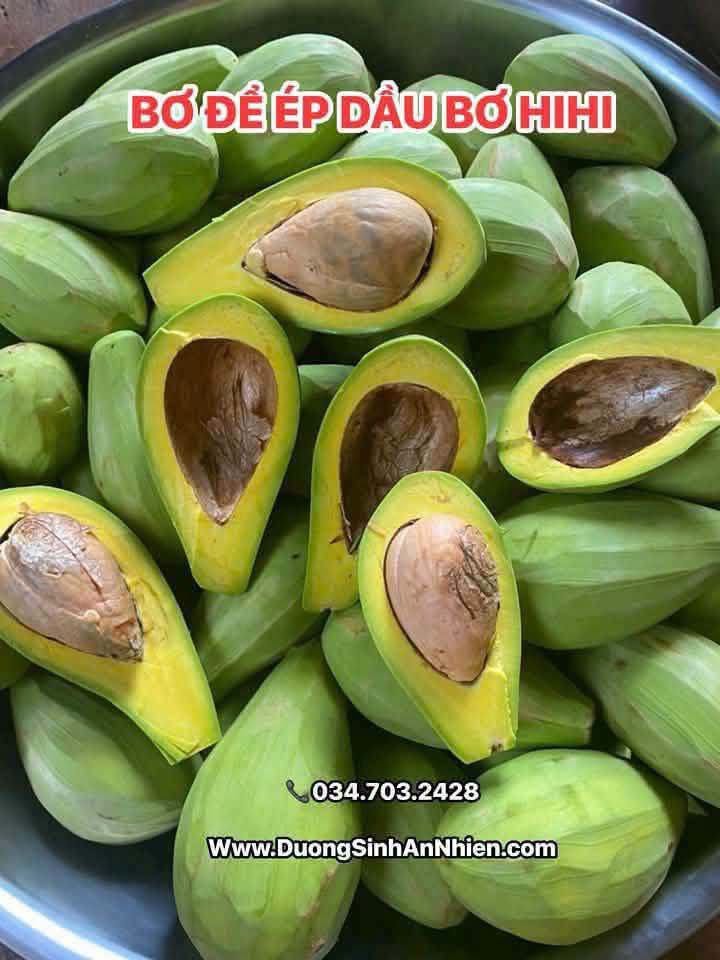 DẦU BƠ ÉP LẠNH HỮU CƠ DAKLAK NGUYÊN CHẤT