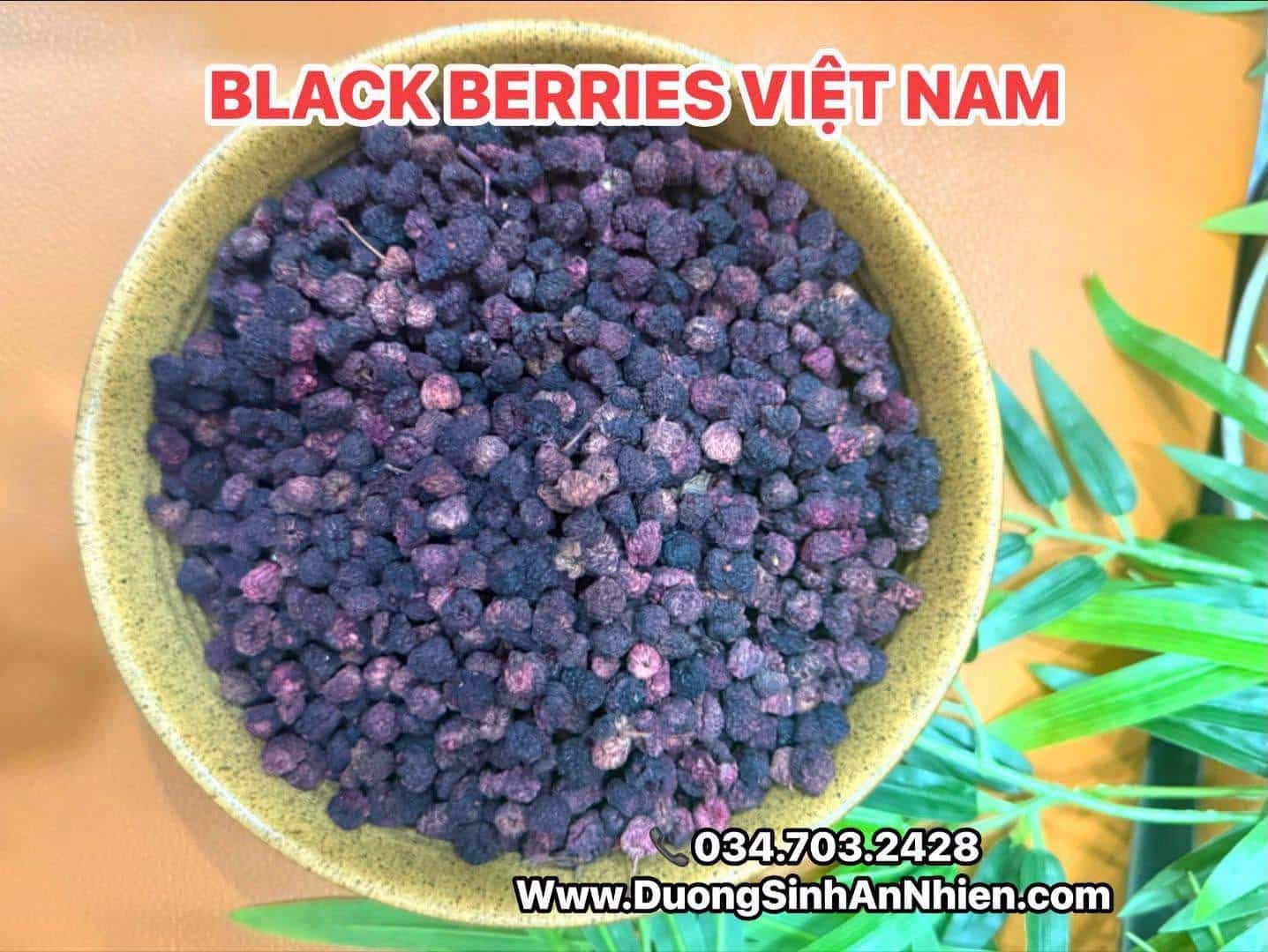 TRÀ PHÚC BỒN TỬ - MÂM XÔI - VIỆT QUẤT RỪNG VIỆT NAM 200GR