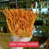 NẤM HẠ THẢO TỰ NHIÊN TÂY TẠNG 50GR(HÀNG ORDER) màu sắc tự nhiên