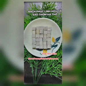 Bạch phục linh