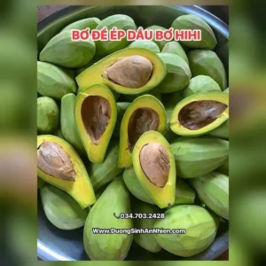 dau bo ep lanh dak lak