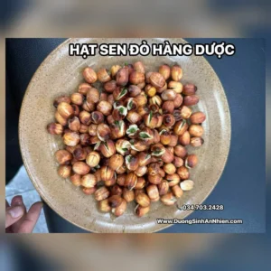 Hạt sen đỏ khô