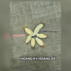 Hoàng kỳ