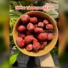Hồng táo bụi