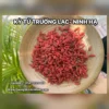 Kỷ tử thượng hạng