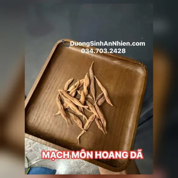 Mạch môn