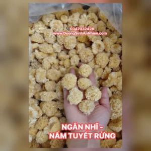 Nấm tuyết