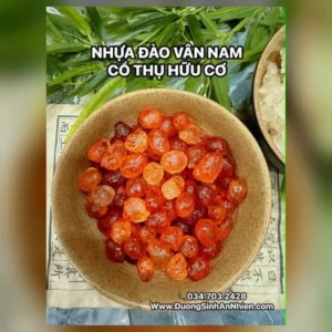 Nhựa đào