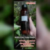 Rượu cau