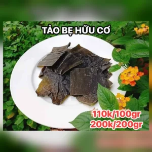 Tảo bẹ