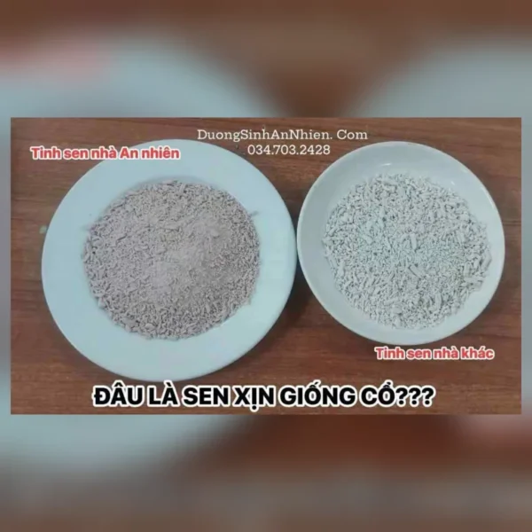 Tinh bột củ sen