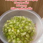 u toc bang dau bap gung